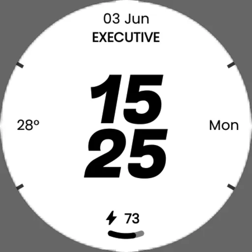 Embassy 2: Minimal Watch Face screenshot 25