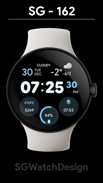 SG-162 screenshot 1