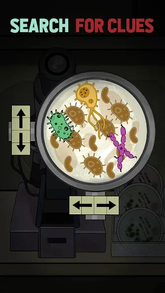 Find Joe: Secret of The Stones screenshot 7