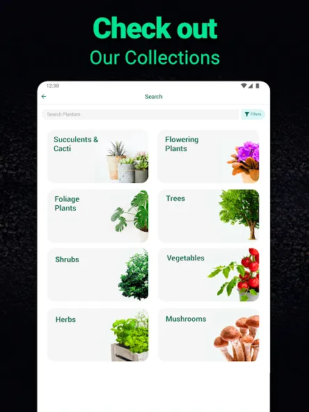 Plantum - Plant Identifier screenshot 14