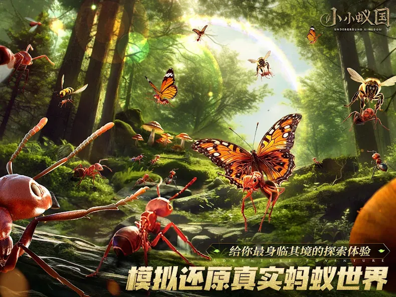 小小蚁国 screenshot 14