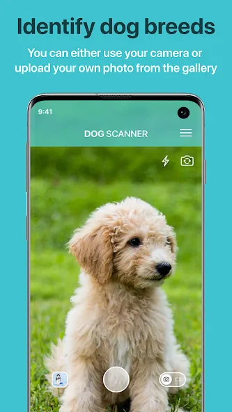 Dog Scanner: Breed Recognition screenshot 1