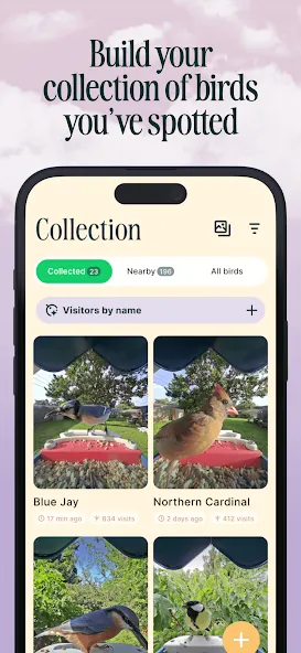 Birdbuddy: ID & Collect Birds screenshot 4