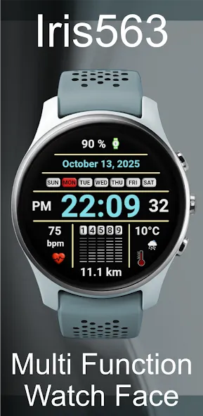 Iris563 Multi-Function Digital screenshot 2