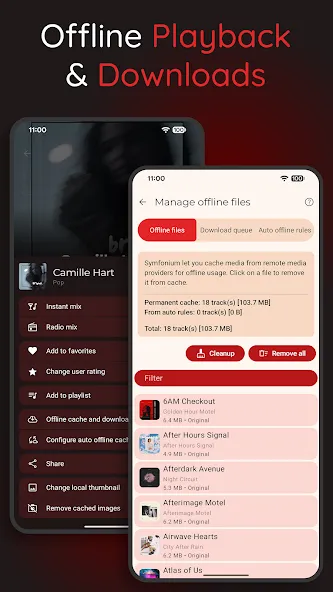 Symfonium: Reproductor musical screenshot 6