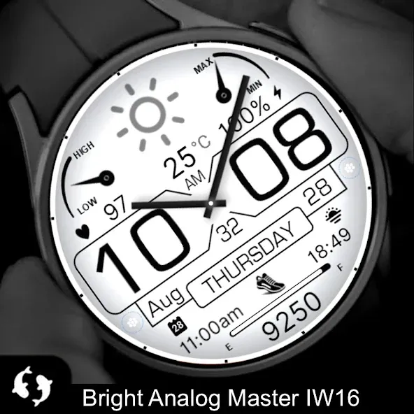 Bright Analog Master IW16 screenshot 3