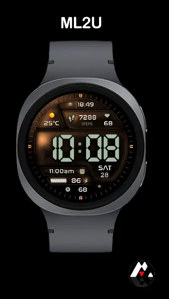 ML2U 229b Tactical Digital screenshot 1