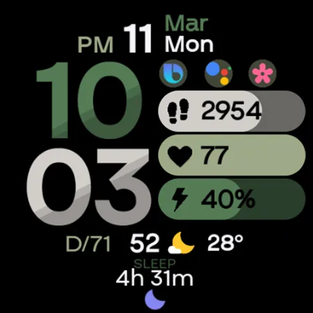rens watchface81 screenshot 12