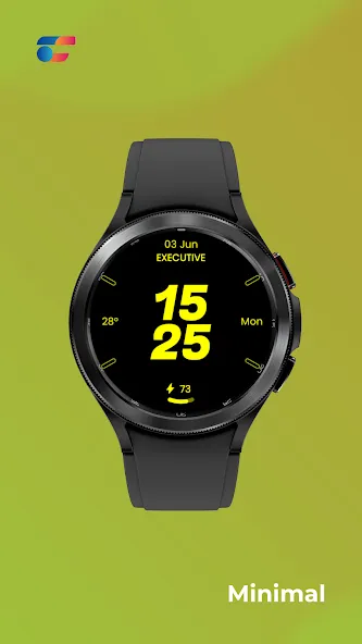 Embassy 2: Minimal Watch Face screenshot 7