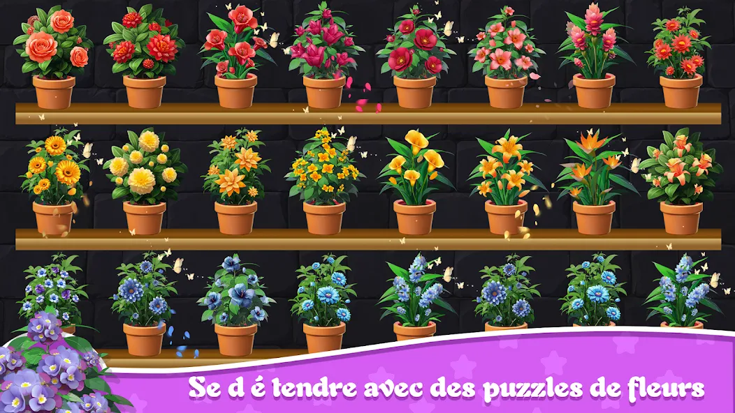 Tri Fleurs 3D : Floraison screenshot 6