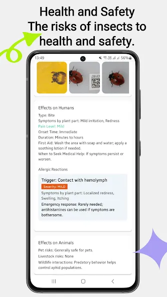 Insektenidentifikator screenshot 5