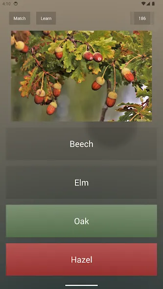 Endless Quiz Pro screenshot 10