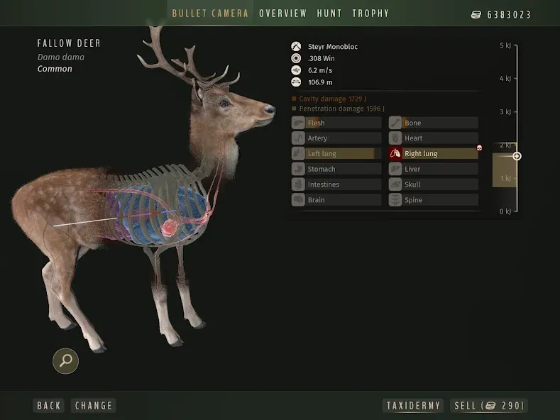 Way of the Hunter Wild Europe screenshot 12