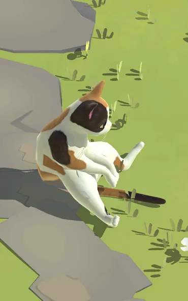 Kitty Cat Resort screenshot 15