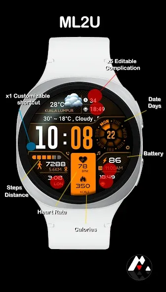 ML2U 134b Digital Hybrid screenshot 2