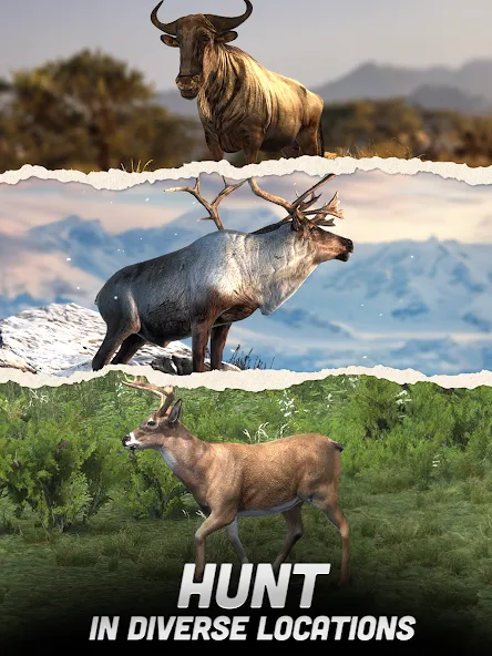 Hunting Battle: Hunter Game screenshot 9
