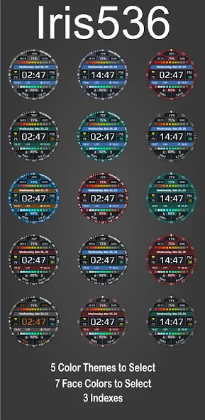 Multi Function Digital Iris536 screenshot 6