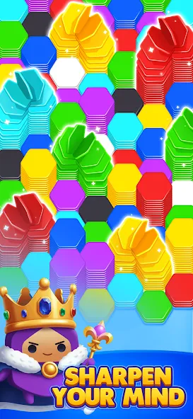HexaGo - Sorting Puzzle screenshot 1