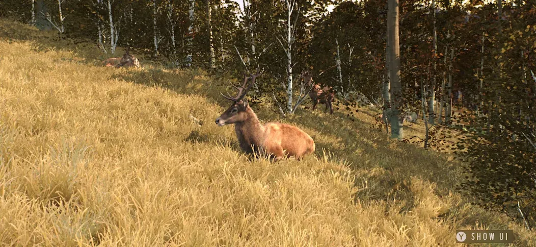 Way of the Hunter Wild Europe screenshot 6