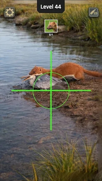 Animal Hunter: Wild Shooting screenshot 2