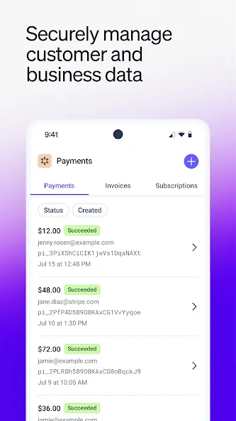 Stripe Dashboard screenshot 6