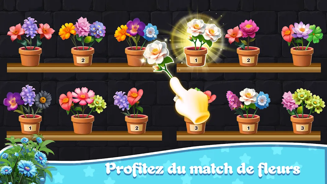 Tri Fleurs 3D : Floraison screenshot 7