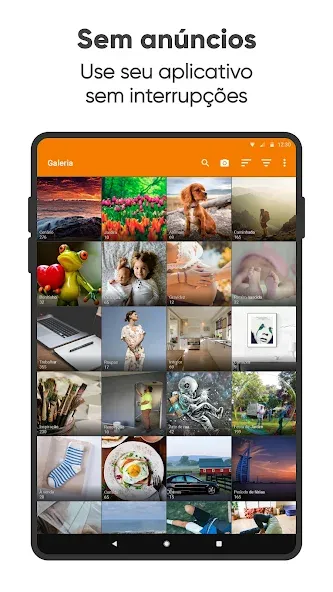 Galeria Simples Pro screenshot 8