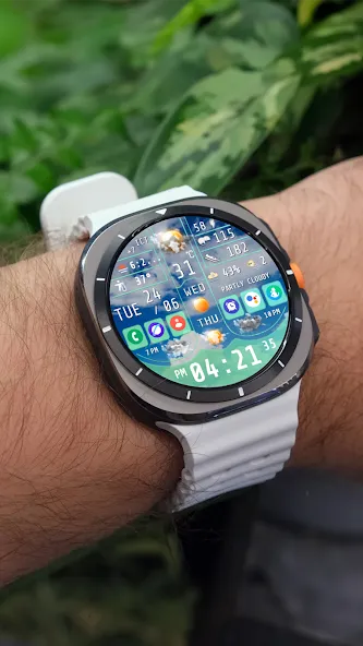 N-SPORT754 Weather Dial Watch screenshot 5