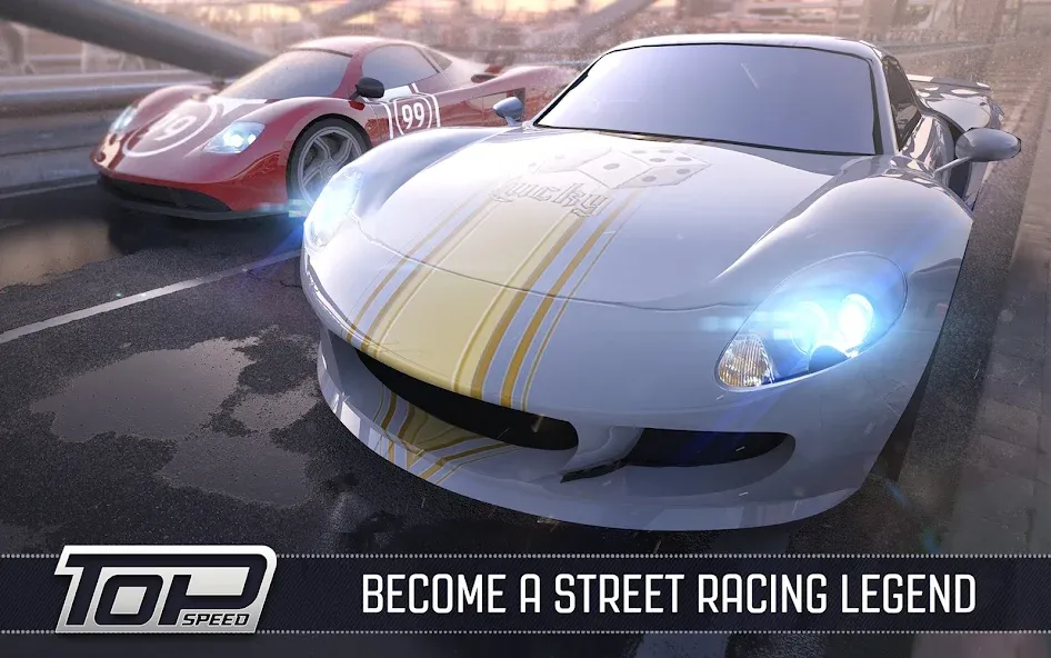 TopSpeed: Drag & Fast Racing screenshot 15