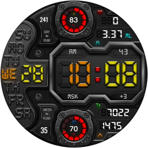 DIGI RAPANS WS24 Watch face screenshot 19
