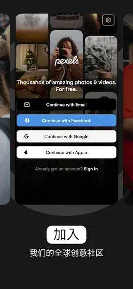 Pexels screenshot 5