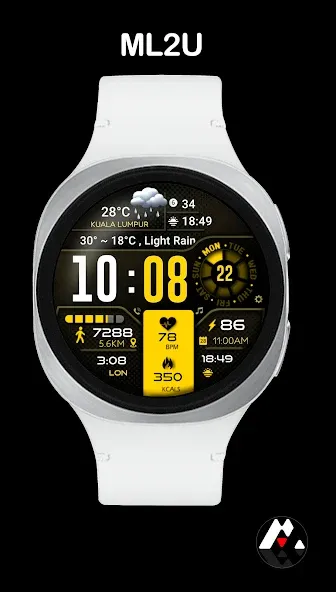 ML2U 134b Digital Hybrid screenshot 4