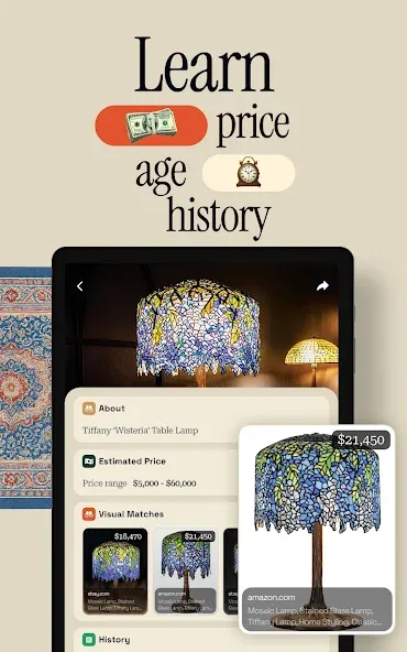 Antique Identifier Zophi screenshot 9