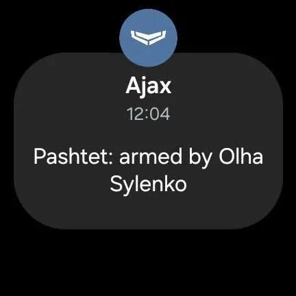 Ajax Security System screenshot 29