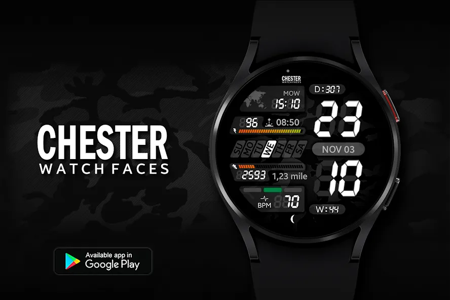 Chester LCD2 watch face screenshot 1