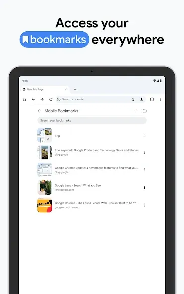 Chrome Beta screenshot 16