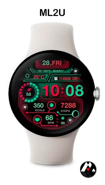 ML2U 217 Watch Face screenshot 3