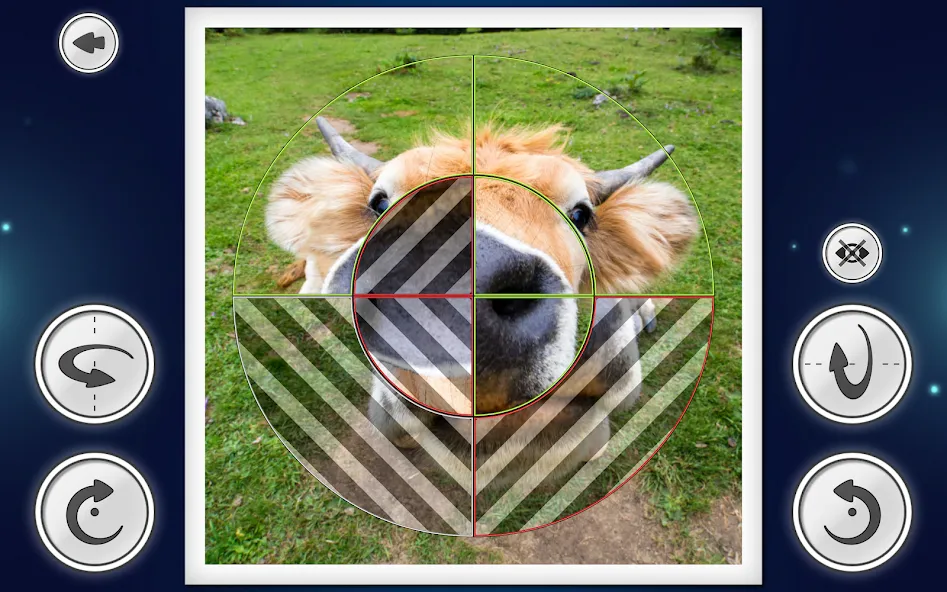 IMAGEine Premium screenshot 11