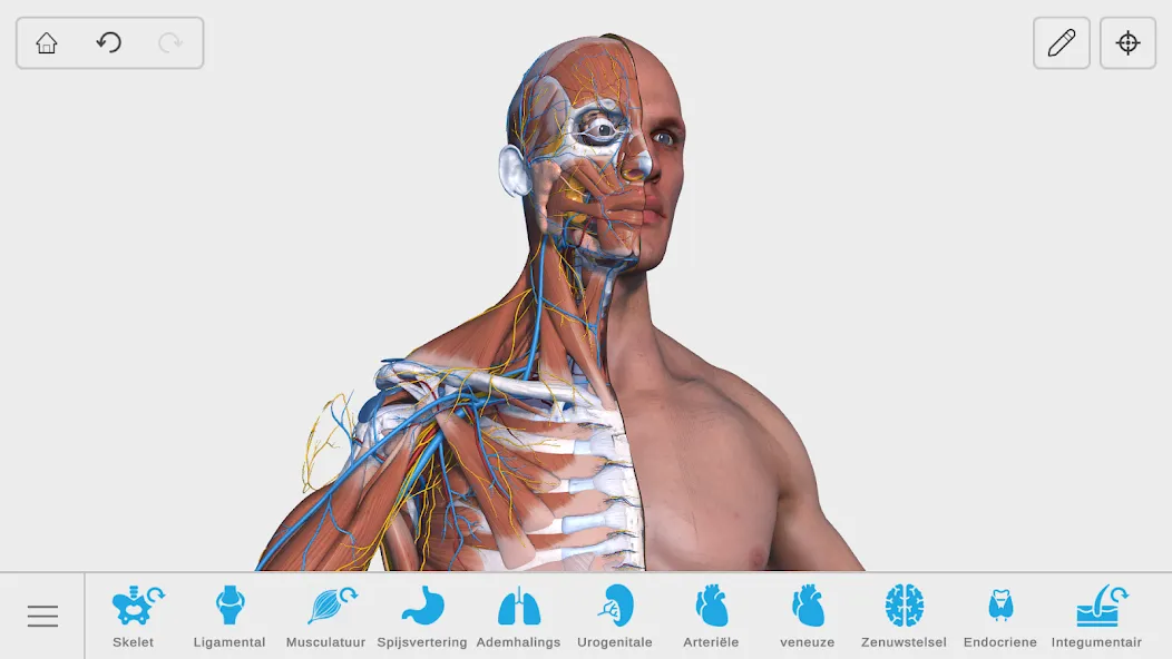 Visual Anatomy 3D - Human body screenshot 25