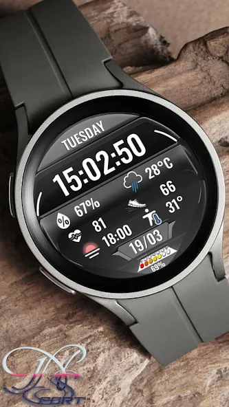 N-SPORT692 Big Dial Watch Face screenshot 1