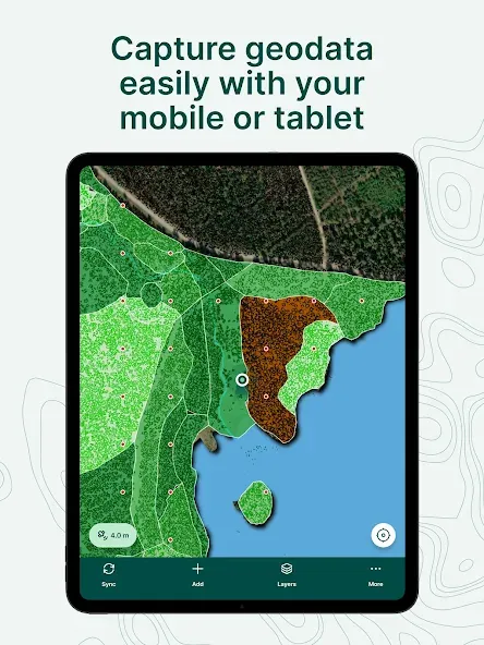 Mergin Maps: QGIS in pocket screenshot 19