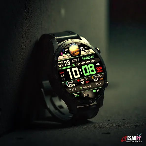 ES WR0021 screenshot 6