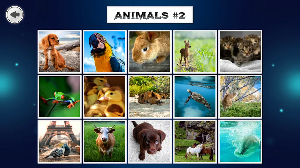 IMAGEine Premium screenshot 7