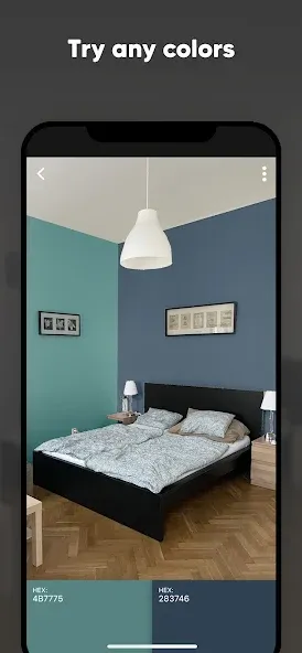 Paint my Room - Try wall color screenshot 3