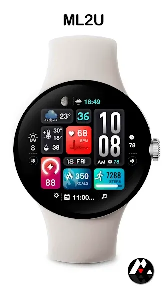 ML2U 242 Watch Face screenshot 4