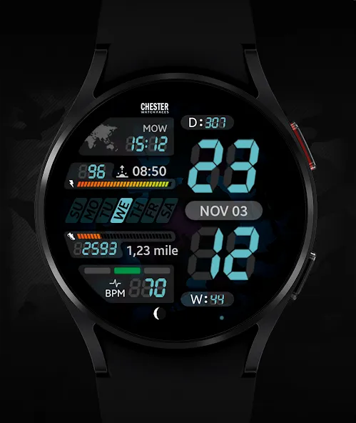 Chester LCD2 watch face screenshot 4