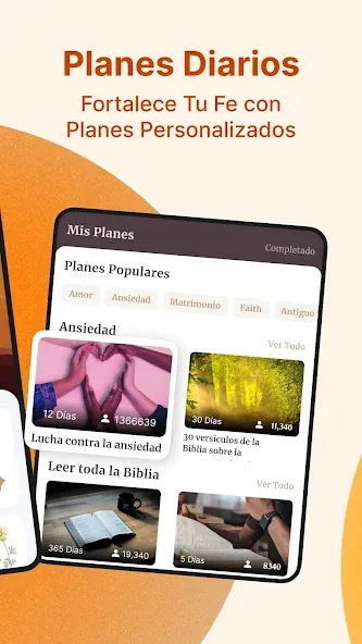 Santa Biblia Reina Valera screenshot 11