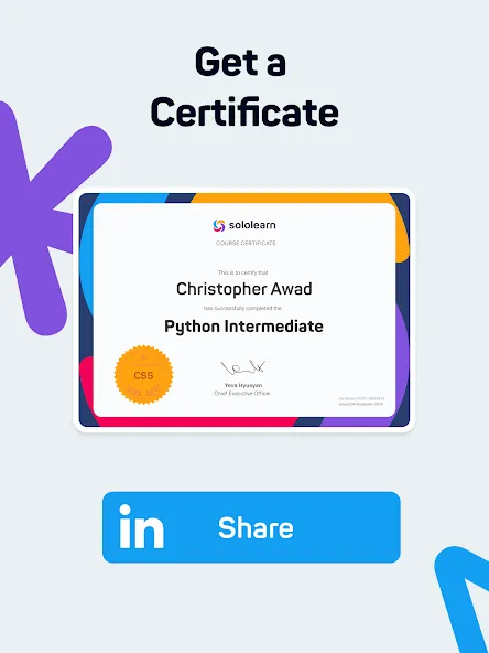 Sololearn: Learn to code screenshot 14