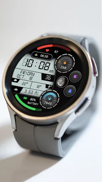 Practical LCD Screen ZKinWatch screenshot 3