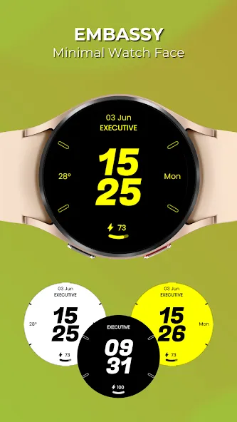 Embassy 2: Minimal Watch Face screenshot 1